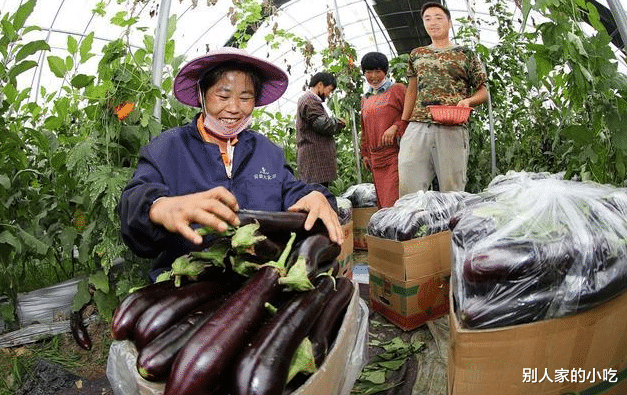 蔬菜|5种蔬菜赶紧撤下饭桌，或是寄生虫的“窝”，看看有你爱吃的吗？