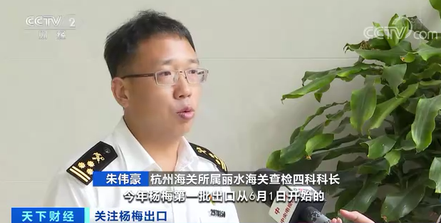 |火了！我们常吃的杨梅，在欧洲一颗售价超10元！