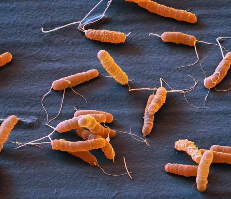 肝癌|同是患癌,有人只活2个月,有人却活了18年,原因在于这3点