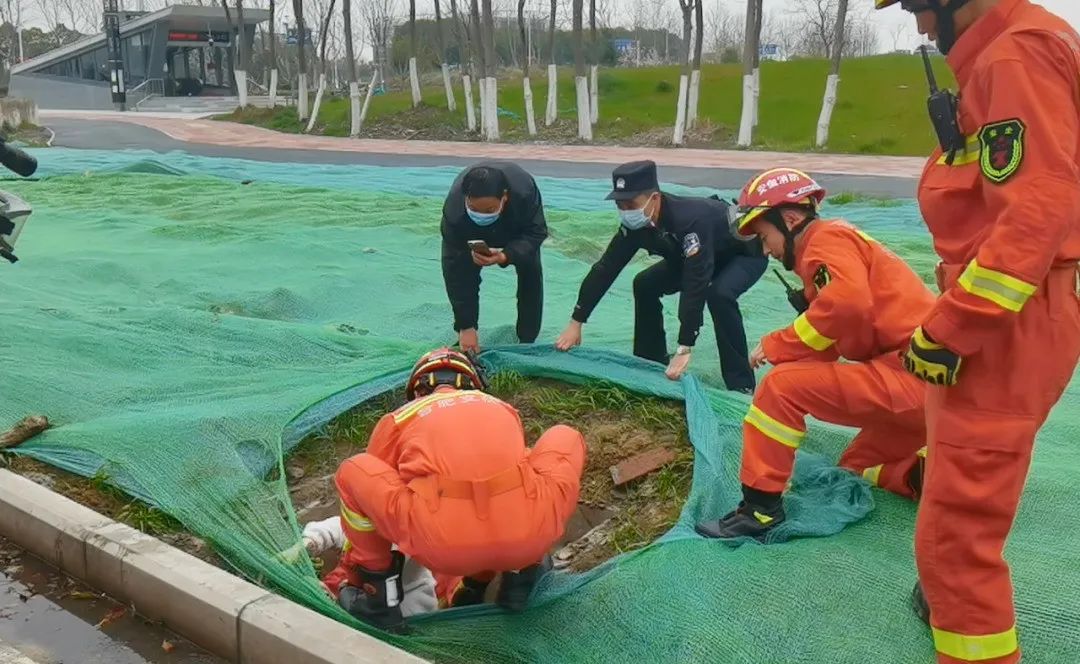 牛哥观察 合肥一路口突发！紧急救援！