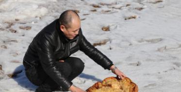 科学家 有哪些生物是违背生命规律的?跳出三界之外,你听说过“太岁”吗