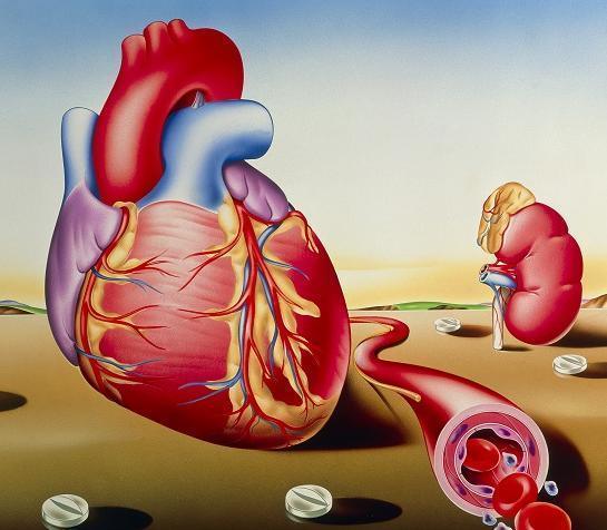 挚爱宝宝一生|闲时喝点桑葚酒，5个好处容易找上你，喝过的人都懂！