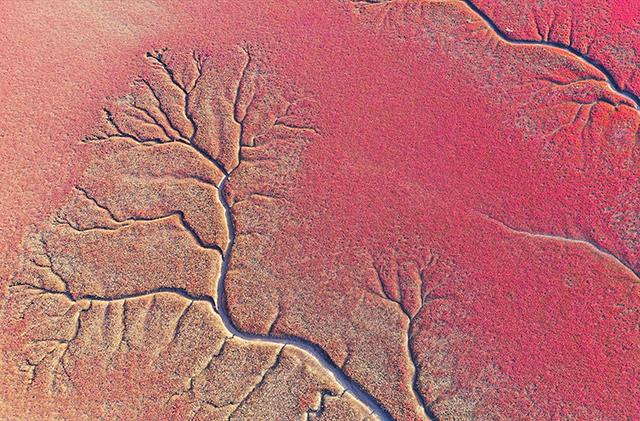 经络|用传统中医的眼光看身体,认识一下形体官窍里的“脉”