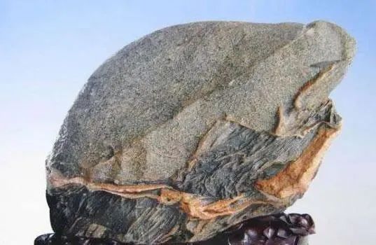 一旦阳台上摆放这些宝贝，你就偷着乐吧，这是大发横财的前兆！