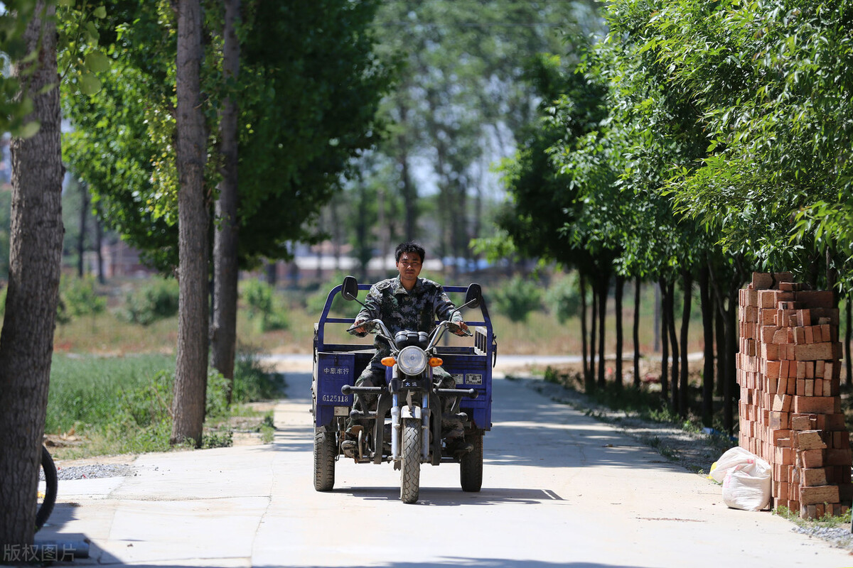 生猪价格 猪价下跌原因已找到，消费低迷只是一方面，罪魁祸首在于这两方面