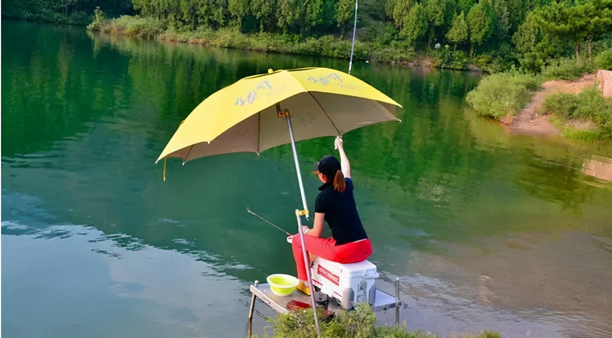 黑鱼|入夏之后，作钓技巧从这7个方面来调整，不愁渔获不够多，莫不信