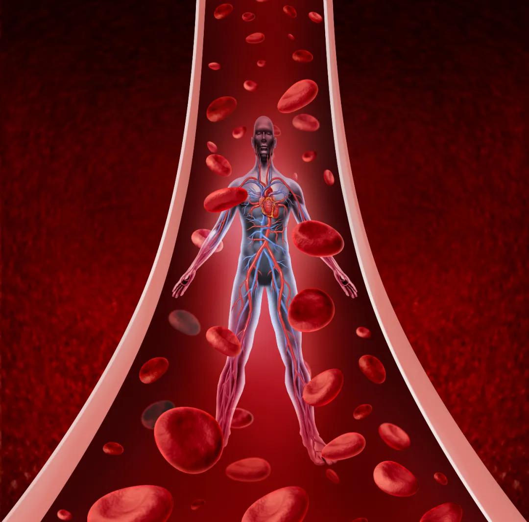 霜降|哪些人易出现动脉硬化？御鼎康提醒这些人群请注意