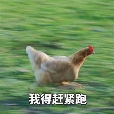 表情包|表情包：作业还没写完表情包可爱一套