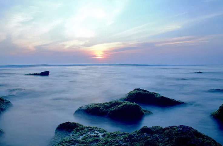 本人讲星座 高傲不群,有些冷酷的星座,面对高峰低谷,始终拿捏得住分寸感
