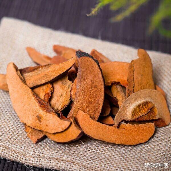 陈皮|膝盖滑膜积水，一张方子全消！中医不治病，只消寒瘀痰，请欣赏