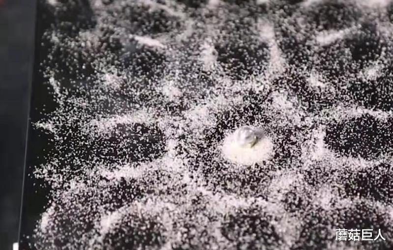 超能力 人类遗失的超能力通道，异星人垂涎三尺，究竟谁才是远古的神