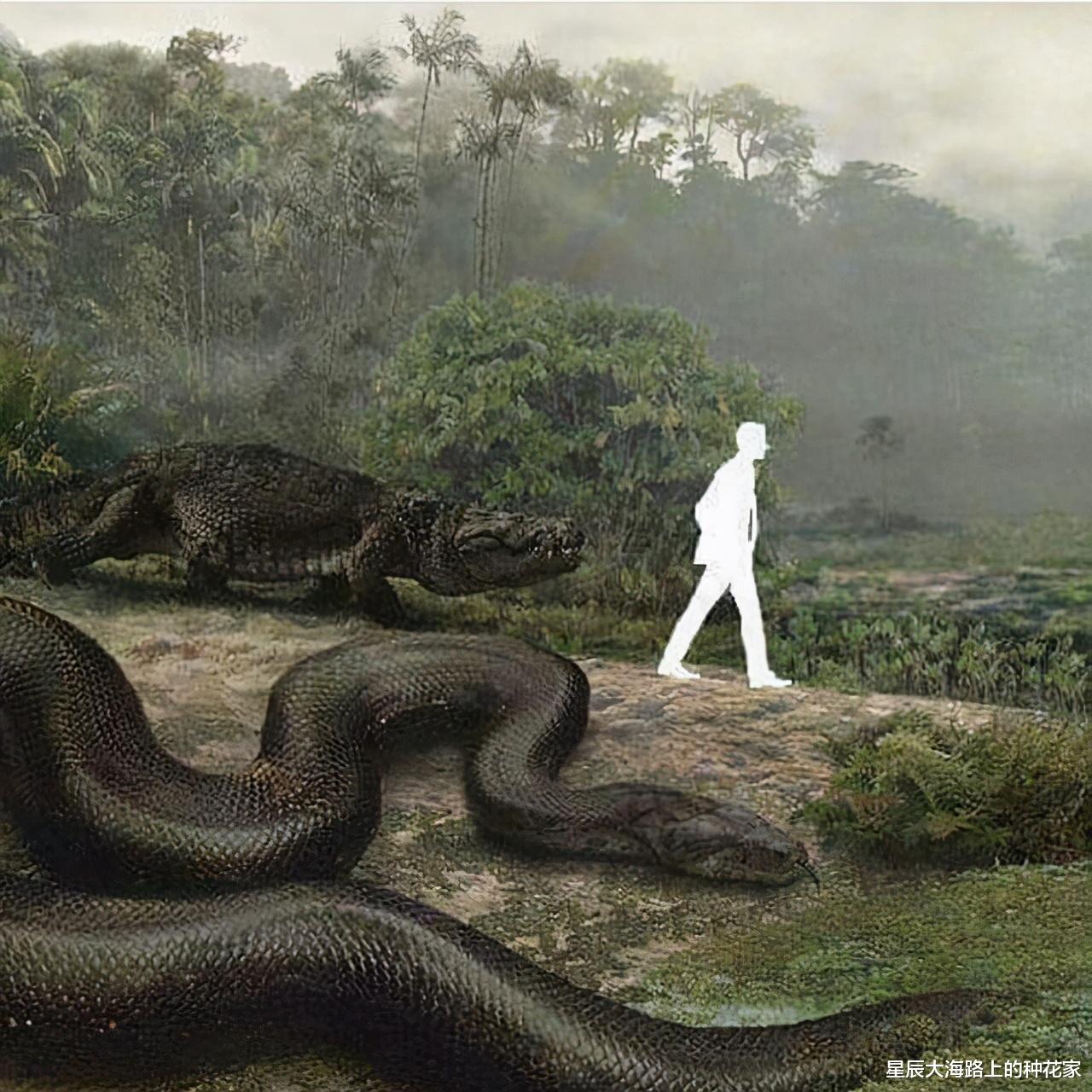 传说中的大海蛇，已有几千年目击记录，为什么没留下任何证据？