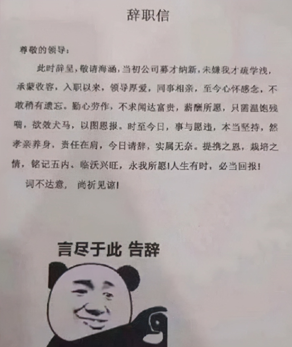 00后|00后毕业生辞职信走红，理由过于嚣张，网友：任性的打工人