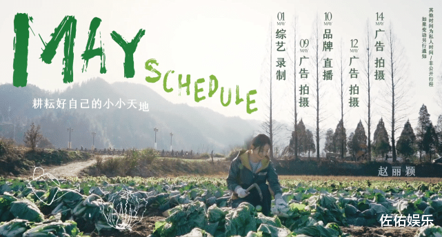 赵丽颖|赵丽颖8月依旧不进组拍戏，静坐看书超优雅，和冯绍峰离婚后有女人味