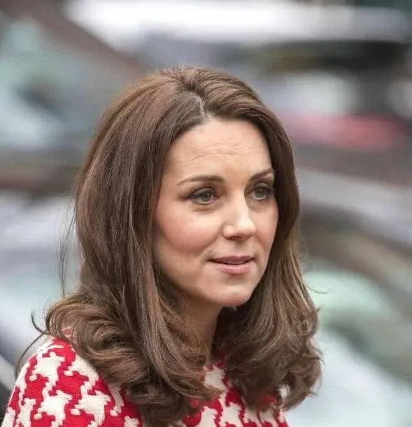 威廉|凯特王妃40岁生日照被公布:她为王室而生