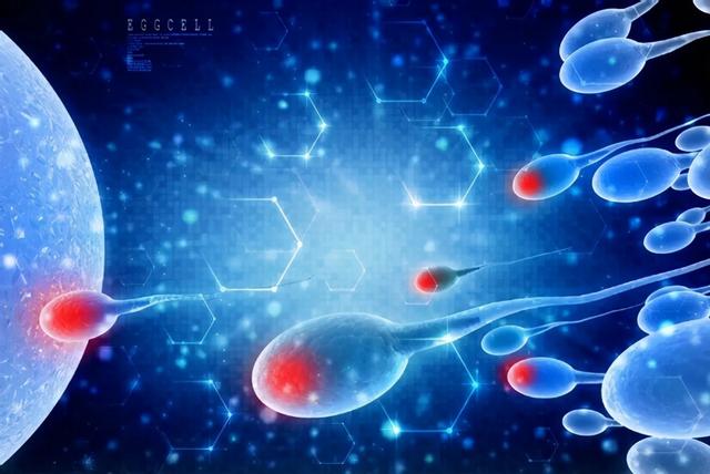 前方社会冲锋号 男人那么多，为什么全球精子库还会告急？