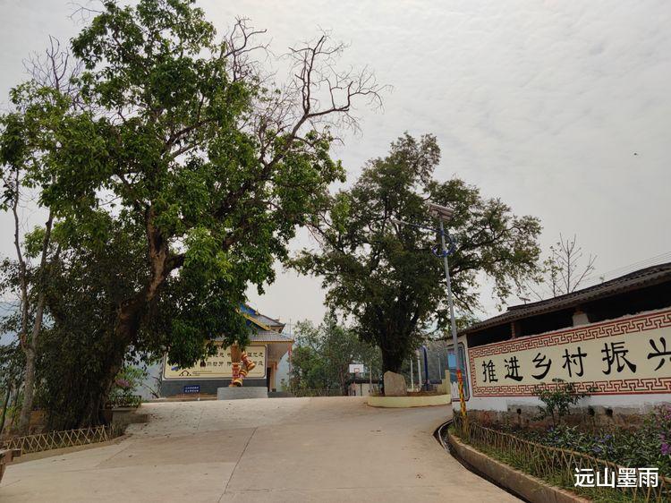 远山墨雨 从昆明开车去景谷，走墨临高速公路路线的体验，感觉不错