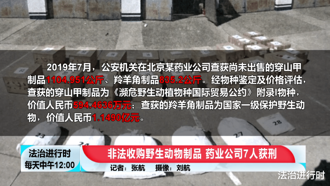 法治进行时 北京这家药业公司竟然非法收购野生动物制品，7人获刑
