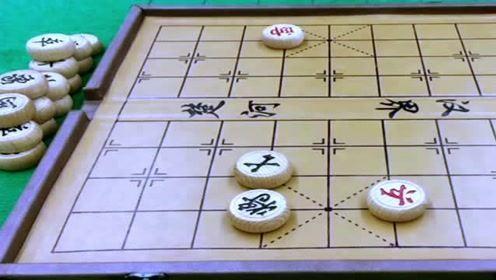 左文静|象棋大师左文静罕见失误，第一手“马走目”直接判负