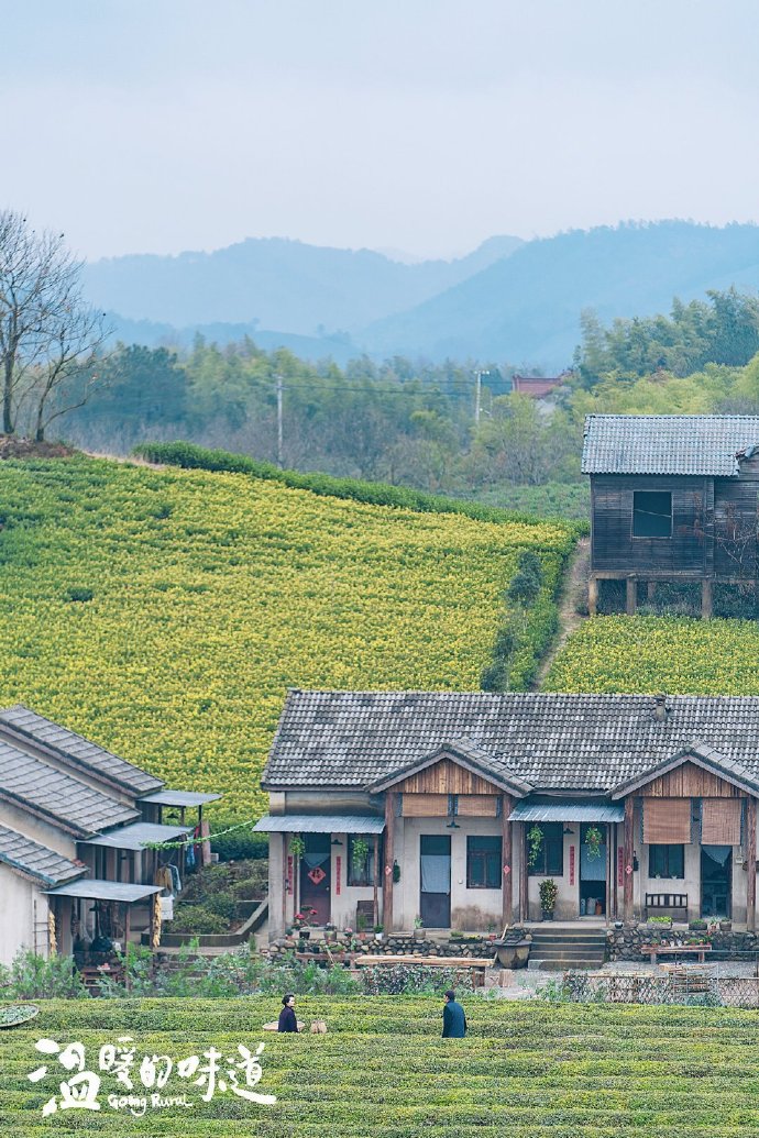靳东|靳东妻子李佳，晒出近照，打扮低调随性，他们的大儿子实在太帅了