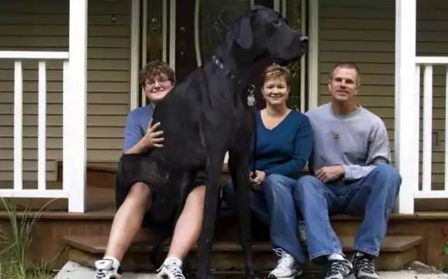  32个“稀奇古怪”的吉尼斯纪录，看完感觉又长见识了