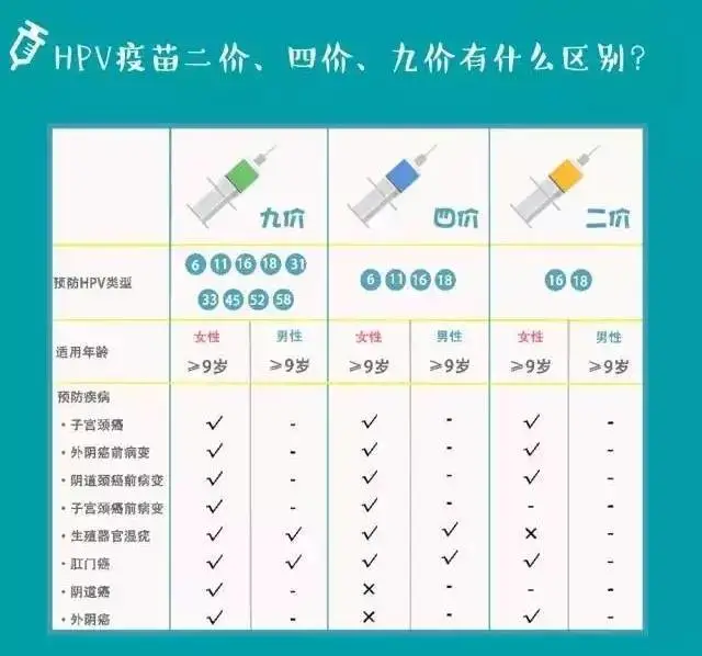 hpv疫苗|对HPV疫苗市场发展前景及“康泰生物”产品布局的探讨