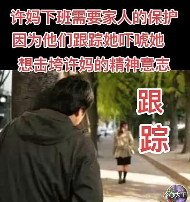 许敏上下班被跟踪，网友：许家外甥化身保镖，全程陪伴在小姨身边