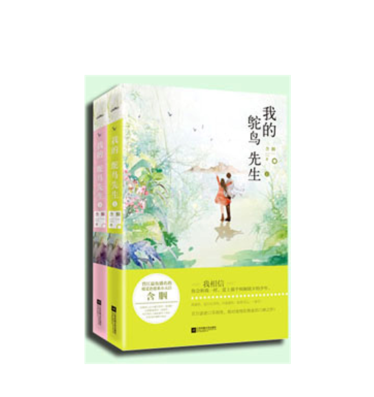 我的鸵鸟先生|温馨治愈、青梅竹马、男主残疾、校园励志成长《我的鸵鸟先生》