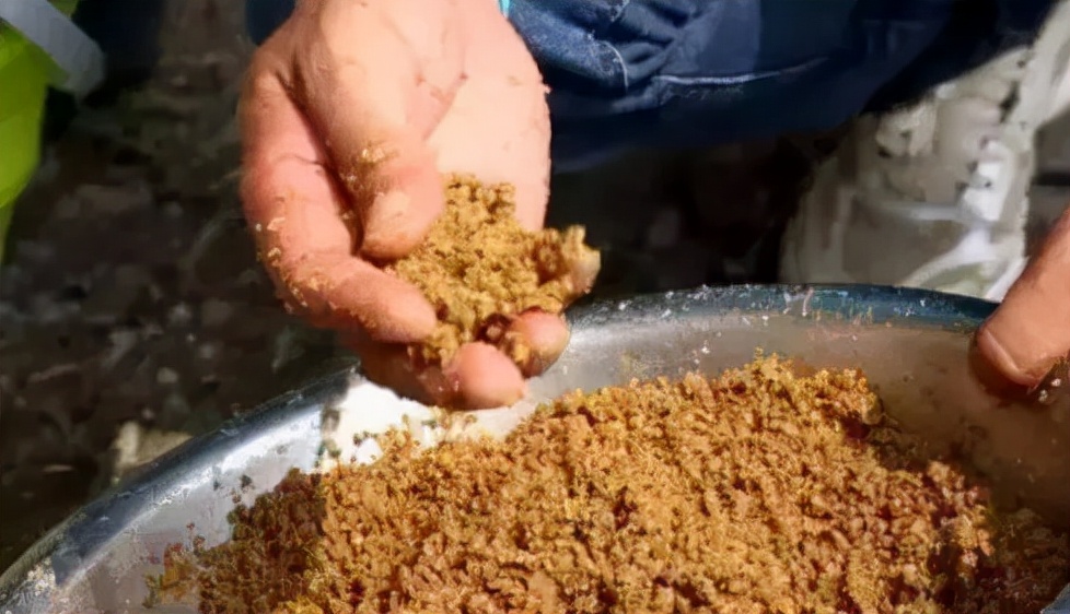 |窝料投放了,为何总是不聚鱼,问题多半出在这几个细节上