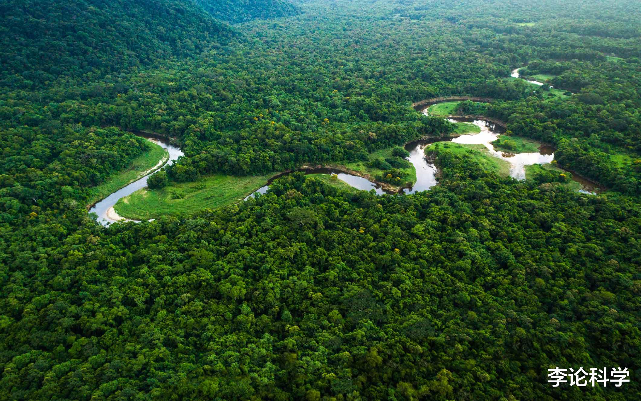 亚马孙热带雨林|研究发现：气候变化导致大量生物身体“变形”，是福是祸？