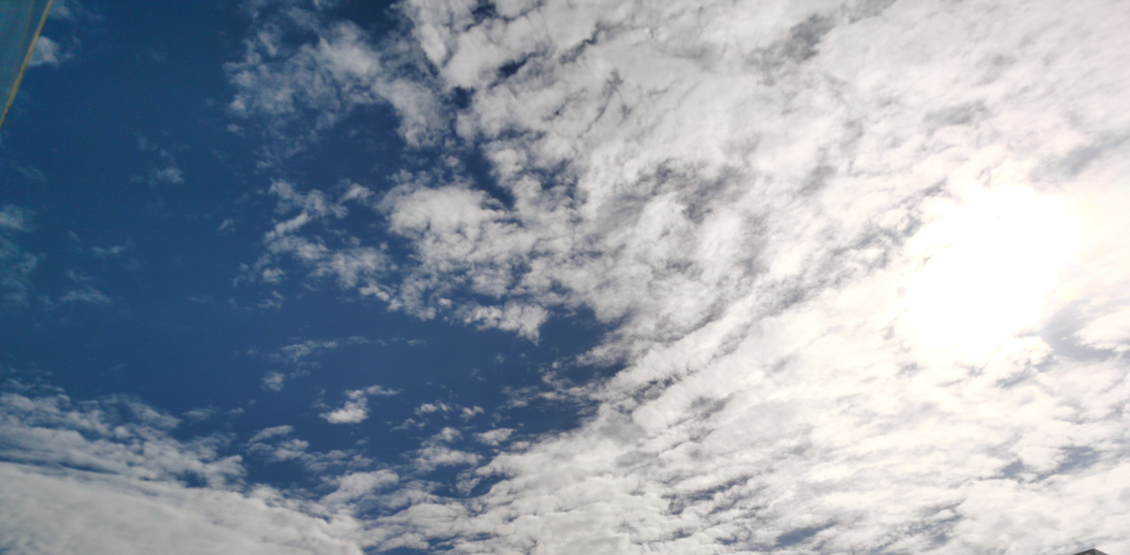 办公室|欲戴王冠  必承其重