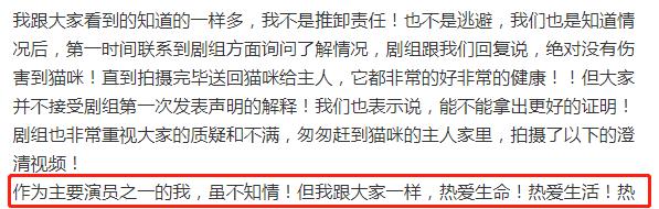 蒋勤勤|《当家》虐猫事件再升级！评分跌至3.5，蒋勤勤直呼演员不背锅