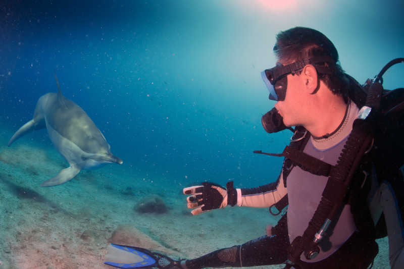 哺乳动物 淹死的都是会水的！就算专业潜水员，也难逃这种物理现象！