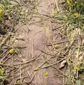 阜阳那些事 阜阳网红打卡地，出现不和谐一幕！