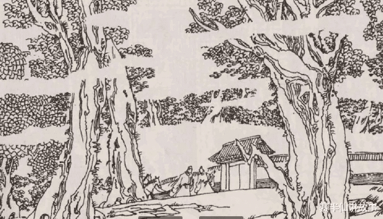 赛半仙讲故事 聊斋故事：村长贪心毁坏山林，生灵合力下山问责，幸得傻猎户解围