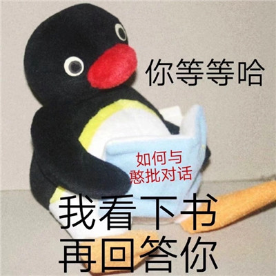 桉月|表情包：呆萌小企鹅文字聊天可爱的表情, 我知道错了