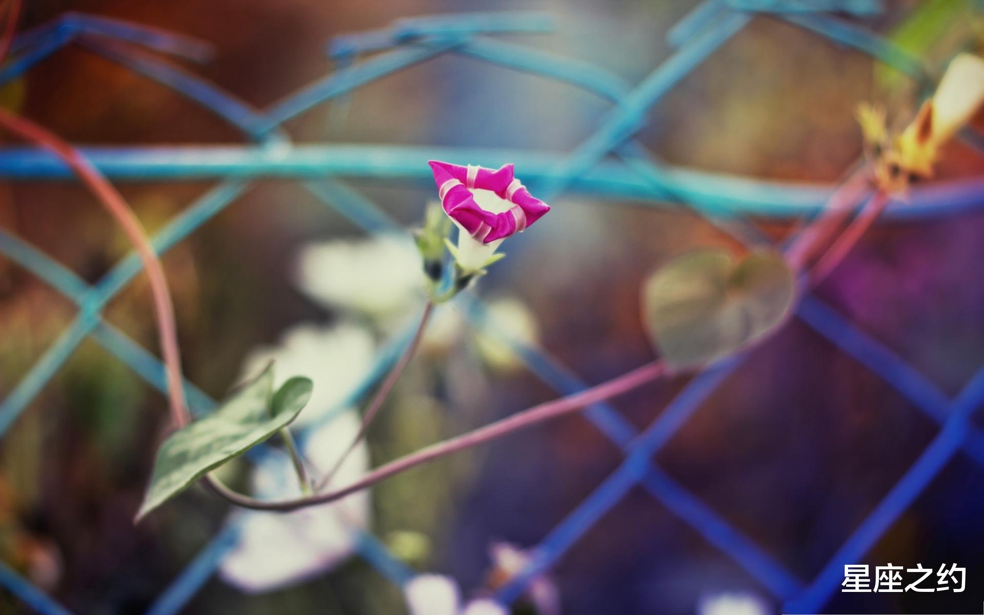 星座之约|在8月份，烦恼散去，好运相伴，扬眉吐气的四大星座