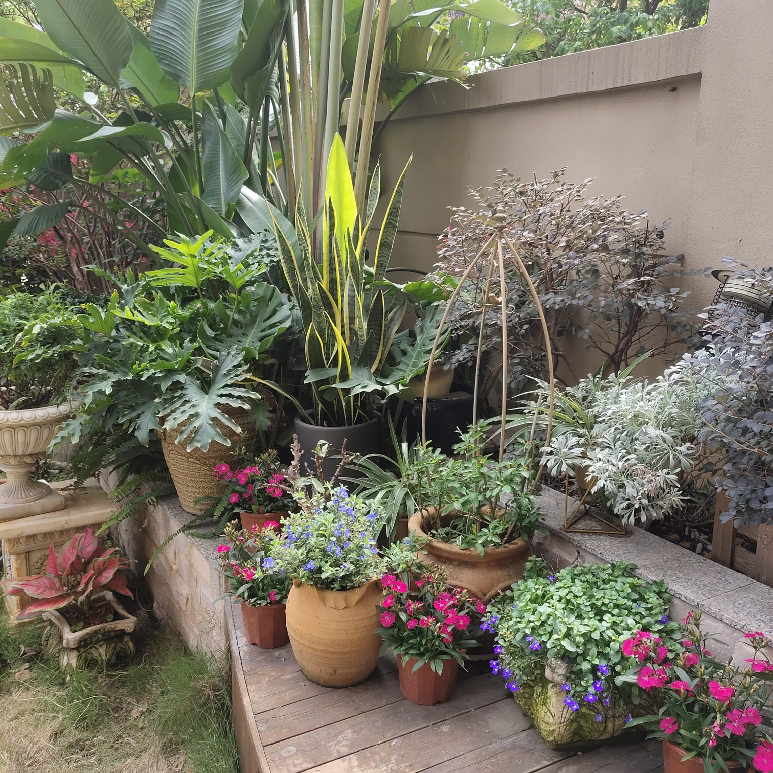 一楼120㎡庭院，5万元装修成花园，种花种草享受静谧时光，太美了