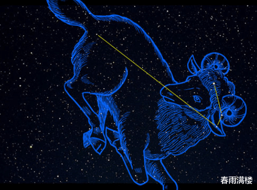 春雨满楼|哪些人在谈恋爱的过程当中能够混的很好？