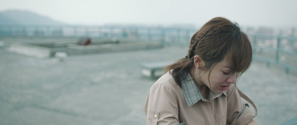 杨紫|肖战杨紫新剧又播不了，撤档通知放出后，评论区令人哭笑不得