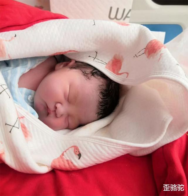 歪骆驼|甜蜜暴击，河南周口一产妇生下四胞胎男宝，爸爸忍不住落泪