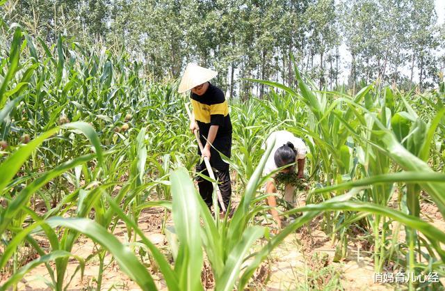 俏妈育儿心经|农村小伙700分考上清华，领完通知书下地干活，穷人的孩子早当家