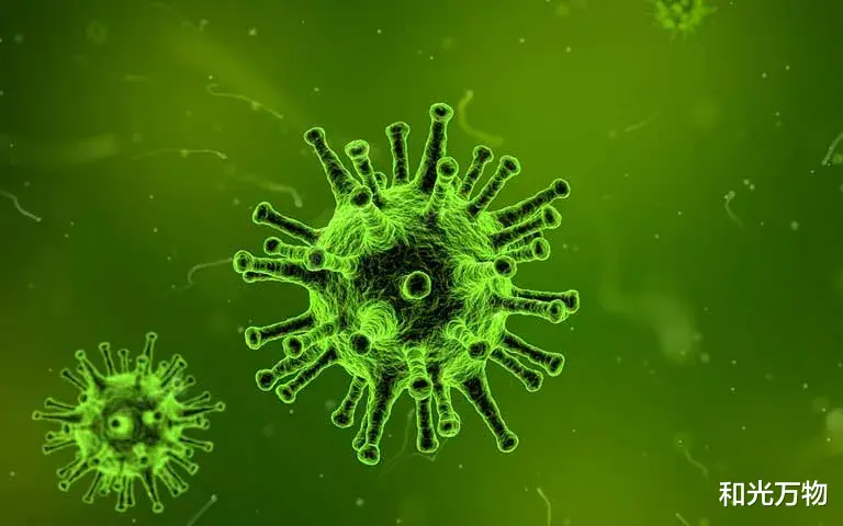 北极 北极永久冻土融化，或释放核废料和唤醒古老病毒，后果不可估量！