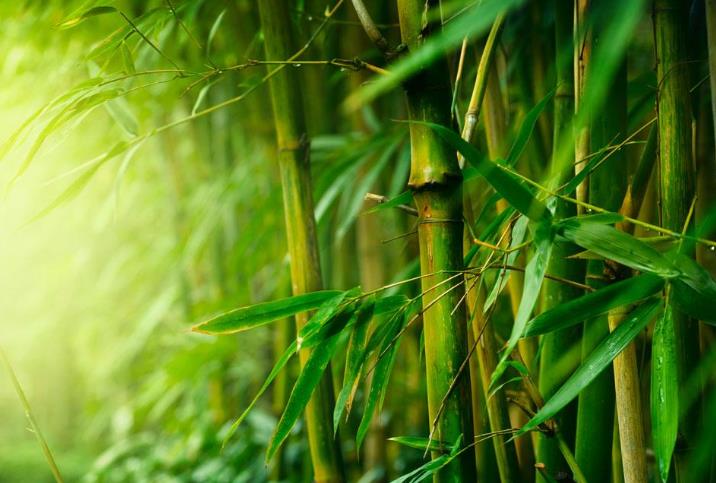 生肖|3末月~4月初，财运大爆发，大发特发不缺钱的生肖