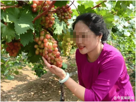 古今医案研读|新疆大姐，为了消除胃溃疡，半年来坚持吃黑枣，后来怎么样了？