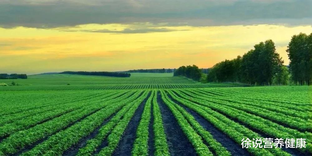 养生|危险的养生