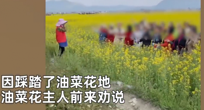 舜網 大媽踩油菜花地拍視頻被勸說仍不聽，主人無奈“觀看”