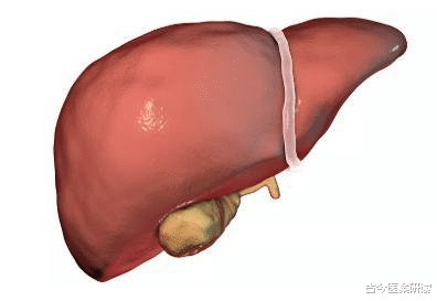 心脏|这个部位长“小红点”,提示肝脏可能出现问题了,建议早查肝ct