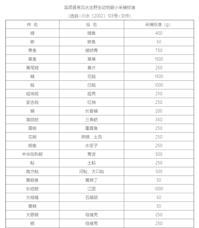 长江|三斤以下草鱼不许带走，长江推行垂钓守则，严重违反者可终身禁钓
