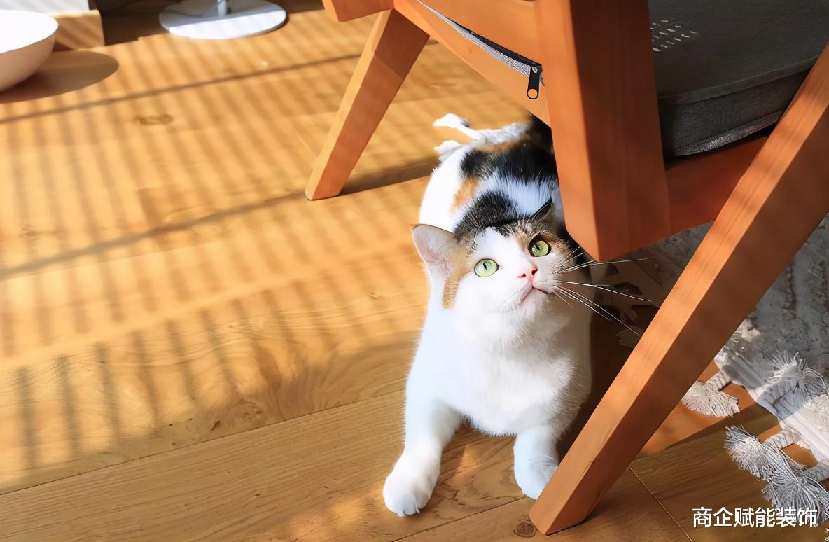 商企赋能装饰 完美还原日剧同款小家,通透温馨,开启小夫妻的幸福生活